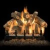 Grand Canyon Arizona Weathered Oak Vented Gas Log Set With ANSI Burner