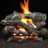 Hargrove Canyon Timbers Vented Gas Log Set With ANSI Certified Burner (HGCYSAA-EHB-ANSI)