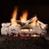 Hargrove Driftwood Vented Gas Log Set With ANSI Certified Hidden Control Burner Kit (HGDRSAA-HCB-ANSI)