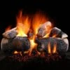 Hargrove Supreme Ponderosa Vented Gas Log Set With ANSI Certified Hidden Control Burner Kit (HGSPSAA-HCB-ANSI)