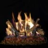 Real Fyre CHDS Charred Oak Stack Vented Gas Log Set